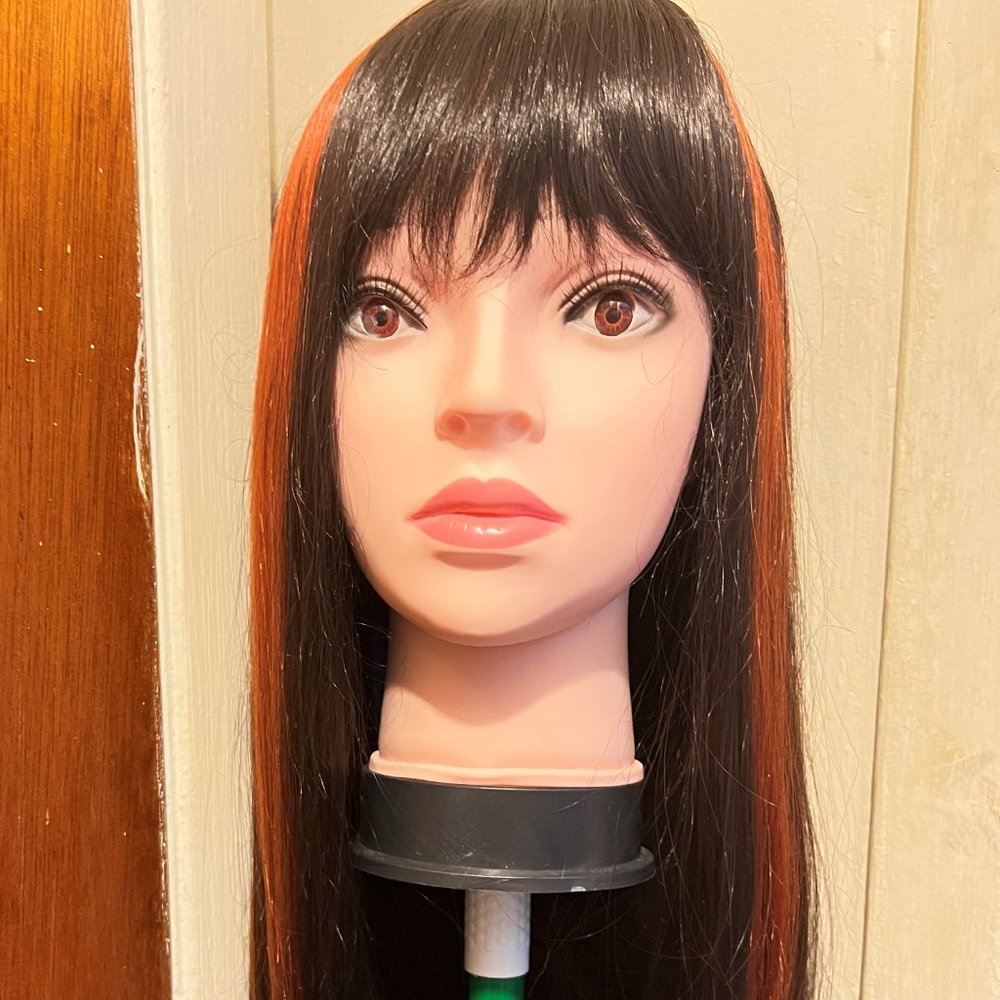 Brand New Long wig w/bangs